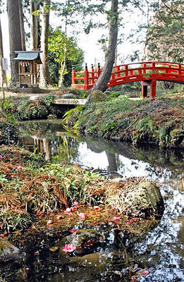 境内の「室の八島」は、朱塗りの橋などで八つの「島」が結ばれた庭園。こぼれ落ちたツバキの花が彩りを添える＝大神神社