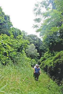 現在の芹沢の滝跡へ続く小道をたどる高久田さん（奥）と根元さん