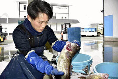 松川浦漁港で揚がった魚を仕入れる中沢さん。「福島の魚の安全性を知ってほしい」と願う