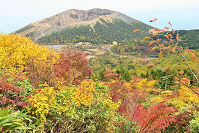 今月上旬の浄土平周辺。すでに紅葉が進んでいる＝福島市