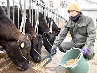 村に戻って牛の飼育に励む山田さん。「県産牛の価値を高めたい」と力を込める ＝飯舘村