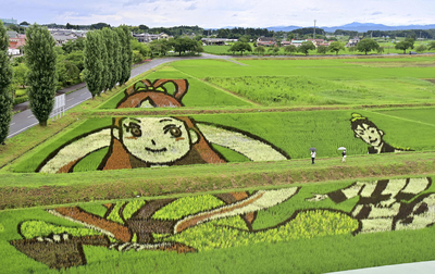 見頃を迎えた「七夕ものがたり」をテーマにした田んぼアート＝１１日、鏡石町