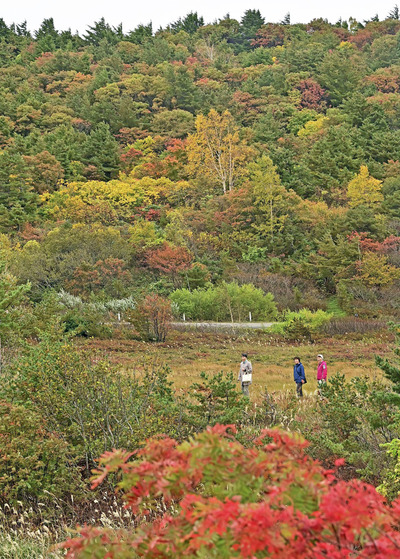 浄土平周辺を色鮮やかに彩る紅葉＝８日午前