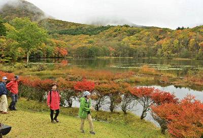 色づいた木々が水面に映る紅葉の景色を楽しむ人たち＝下郷町・観音沼森林公園