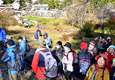 シキザクラを眺め、山頂を目指す参加者ら