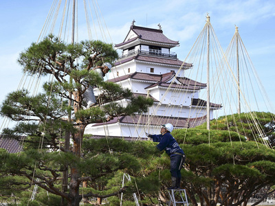 本格的な冬を前に始まった鶴ケ城公園の枝つり作業＝２６日、会津若松市