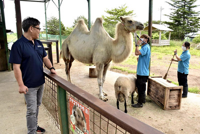 飼育係と話す私（左）。彼らと共に園内の楽しみを増やしたり、魅力アップにまい進中だ