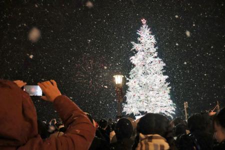 　雪が降る中、北海道函館市の赤レンガ倉庫前で点灯されたクリスマスツリー＝３０日夜